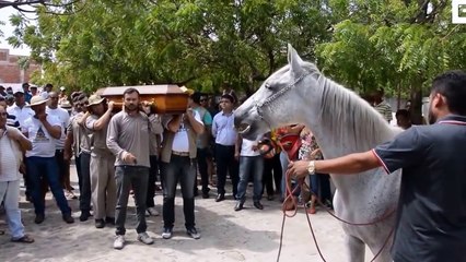 cheval influente pleurer sur la mort du propriétaire et toute vierge à la tombe