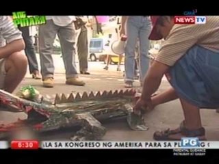 Ang Pinaka Unfair Animal Depiction no. 1: Crocs as greedy congressmen and police officers