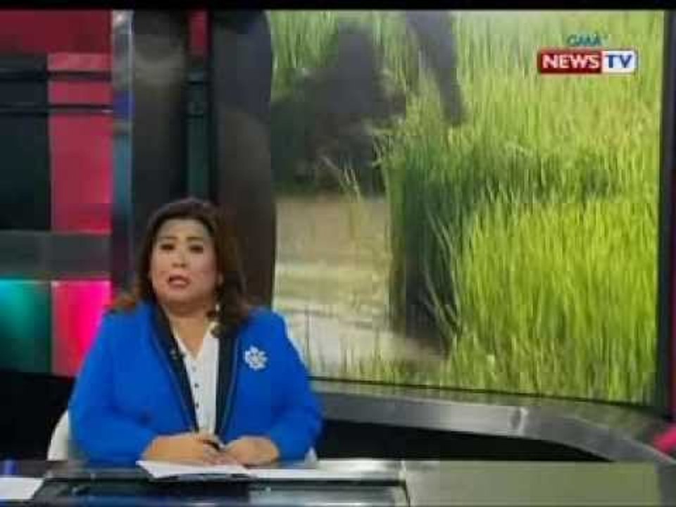 SONA: PostScript: Kulang