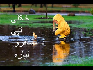 Pashto - Raees Bacha & Zahir Mashokhel Pashto Tapay HD 2017