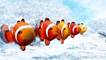 Finger Family Nemo Cartoon Nursery Rhymes For Children | 3D Animated Fish Rhymes |