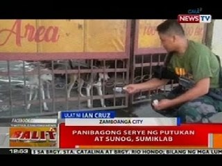 Ilang alagang aso na naiwan ng mga nagsilikas dahil sa bakbakan sa Zamboanga, pinakain ng ilang PNP