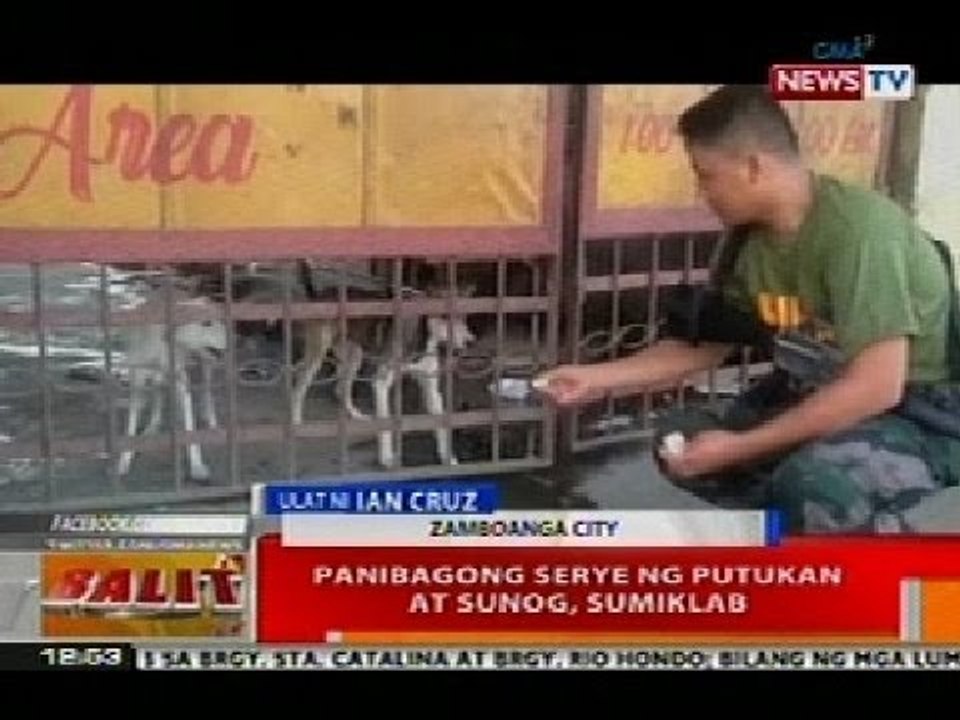 Ilang alagang aso na naiwan ng mga nagsilikas dahil sa bakbakan sa Zamboanga, pinakain ng ilang PNP