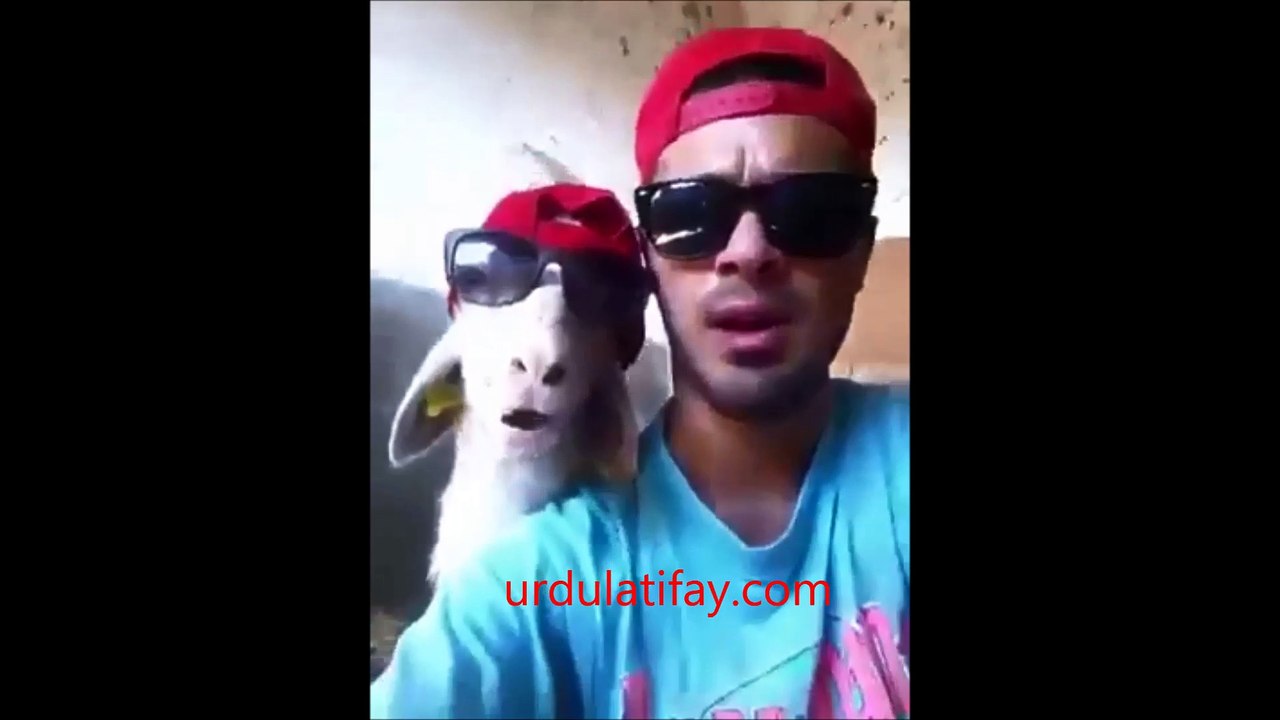 mein tera boyfriend tu meri girlfriend Desi girl friend desi boy friend