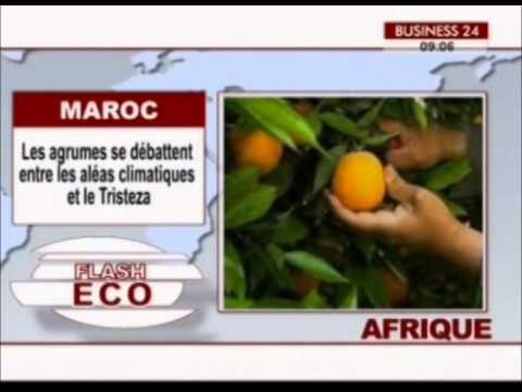 BUSINESS24 Flash Eco Afrique du Vendredi 26 Juin 2015
