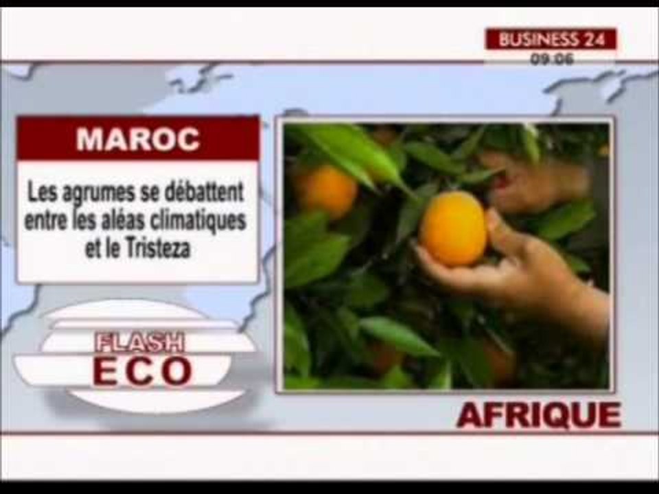 BUSINESS24 Flash Eco Afrique du Vendredi 26 Juin 2015