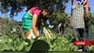Teacher gives farming training to kids in Dabhoi, Vadodara - Tv9 Gujarati