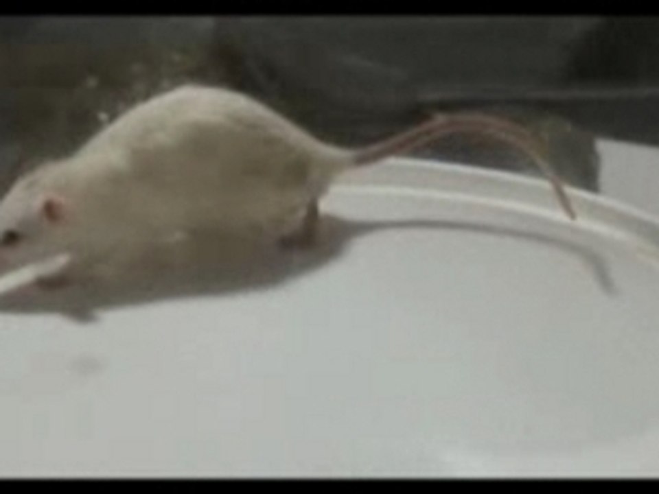 Contamination