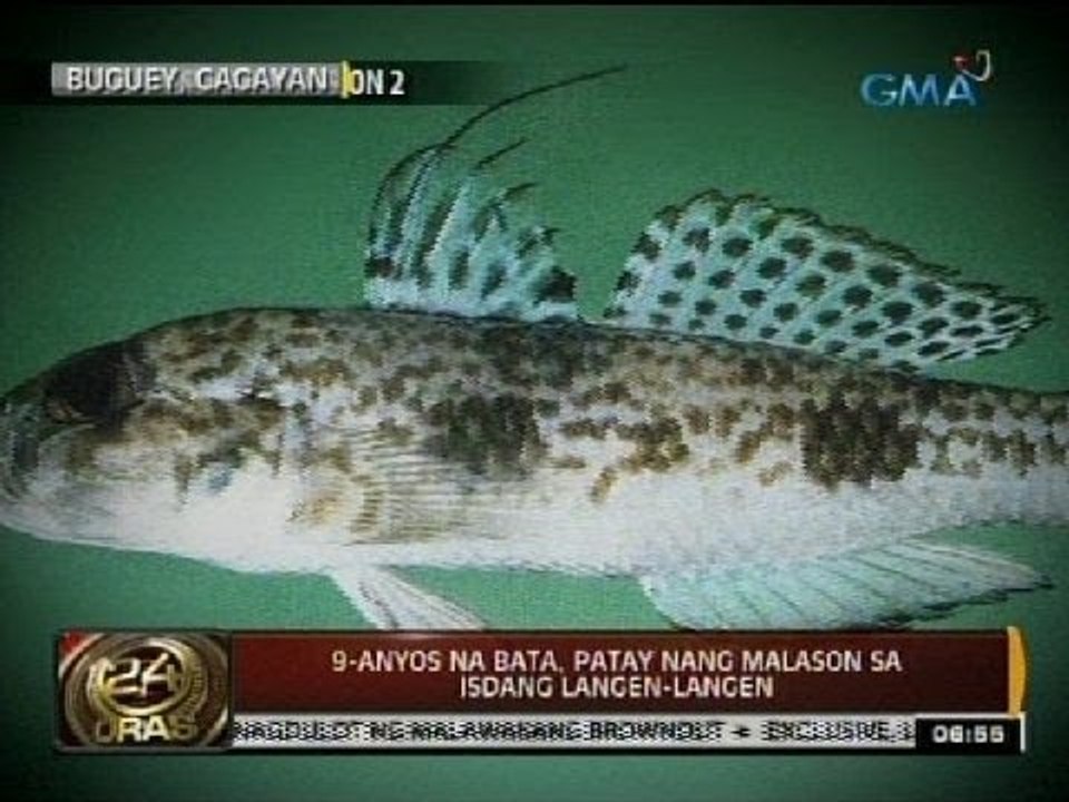 24 Oras: Siyam na taong gulang na bata, patay nang malason sa isdang langen-langen