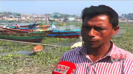 নাব্য হারিয়ে সরু হয়ে গেছে চাঁদপুরের ডাকাতিয়া নদী