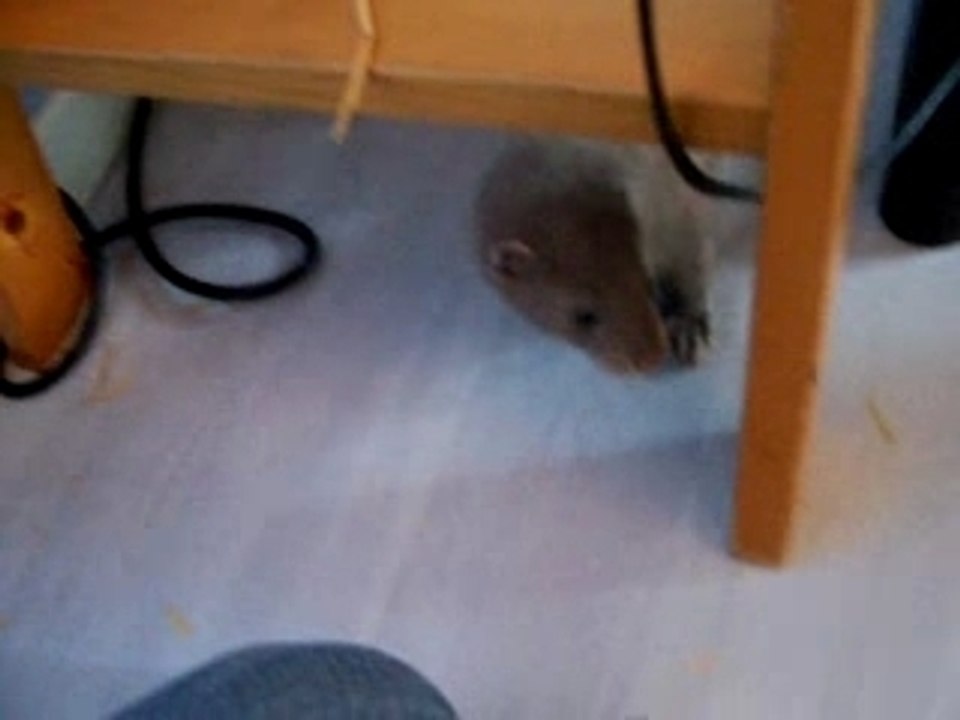 Lithium joue caché ;)