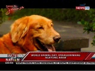 SONA: World Animal Day, ipinagdiriwang ngayong araw
