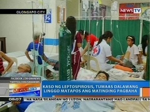 NTG: Kaso ng leptospirosis, tumaas dalawang linggo matapos ang matinding pagbaha