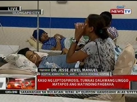 QRT: Kaso ng leptospirosis sa Olongapo, tumaas 2 linggo matapos ang matinding baha