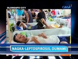 Saksi: 312, tinamaan ng leptospirosis; 9, patay