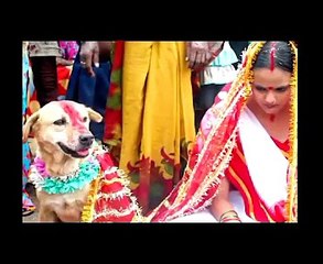 Pakistan vs India,اگرپاکستان نہ ہوتا تو میں کیا ہوتا