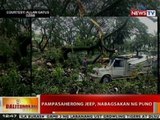 BT: Pampasaherong jeep, nabagsakan ng puno dahil sa hanging dala ng Bagyong Santi