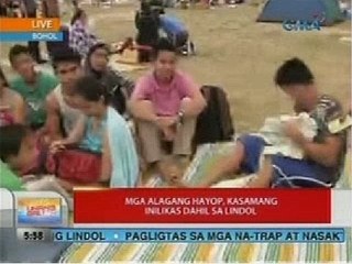 UB: 2,500 residente sa Bohol, lumikas dahil sa lindol