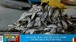 BP : Nasa 69 may-ari ng fish cage sa S. Cotabato, apektado ng fish kill