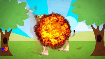 Finger Family Lion   Nursery Rhymes   Animals Finger Family Song   Kids Rhymes Handplaytv
