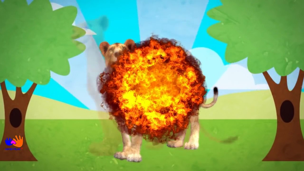 Finger Family Lion   Nursery Rhymes   Animals Finger Family Song   Kids Rhymes Handplaytv