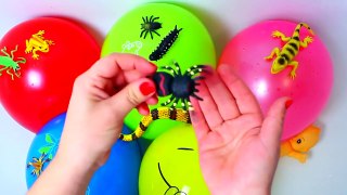 Finger Family Song Learn Colors for Kids Children Toddlers Learning video compilation for