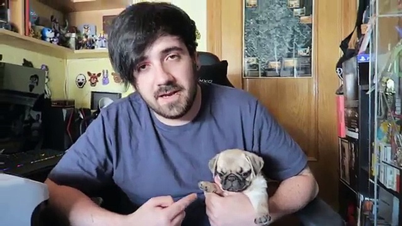 MI PERRA EVOLUCIONANDO Y REACCIONANDO A NUEVOS POKEMON !! | POKEMON GO