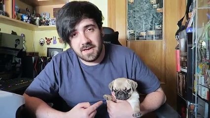 MI PERRA EVOLUCIONANDO Y REACCIONANDO A NUEVOS POKEMON !! | POKEMON GO