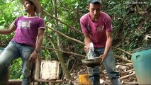 Cocaine production in Colombia