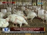 Local poultry farmers, nalulugi raw dahil sa mababang presyo ng manok ng isang banyagang kumpanya