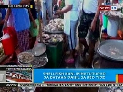 BP: Shellfish ban, ipinatutupad sa Bataan dahil sa red tide