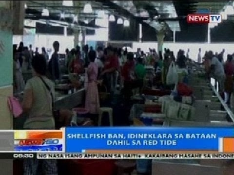 NTG: Shellfish ban, idineklara sa Bataan dahil sa red tide