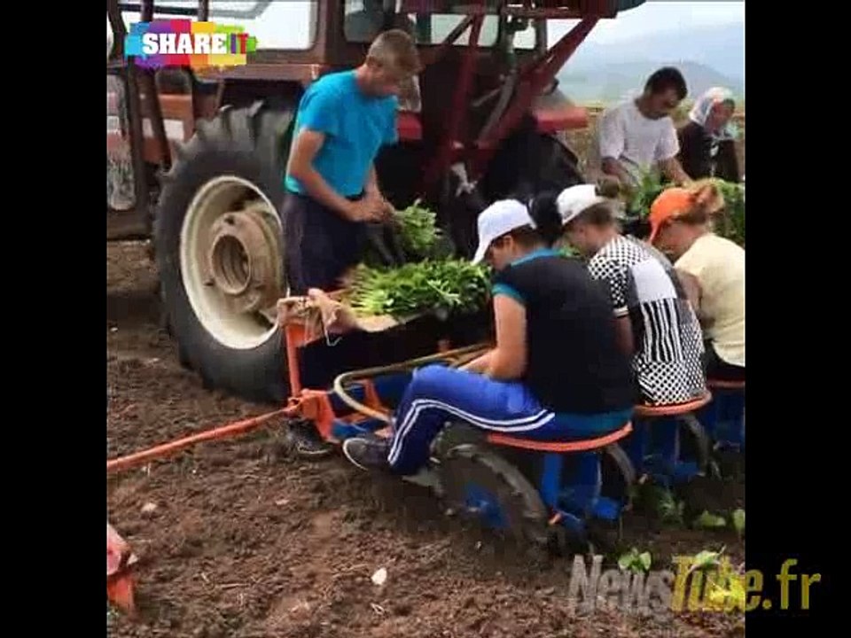 Machine de plantation