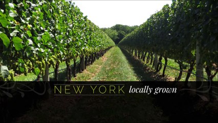 Suhru Wines - (631) 603-8127