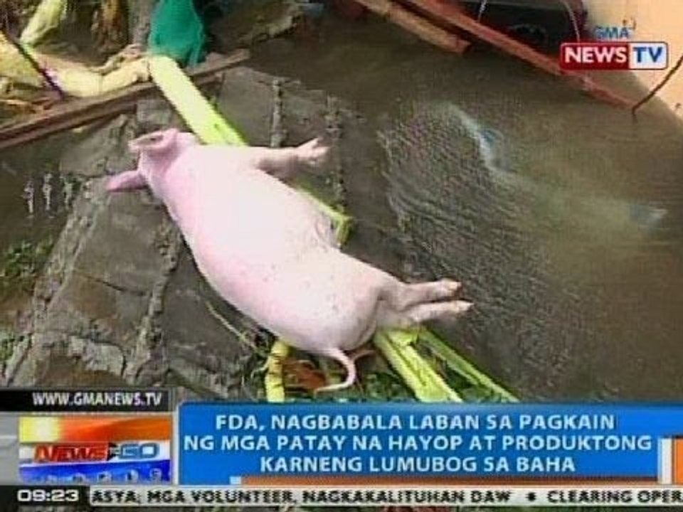 NTG: FDA, nagbabala vs pagkain ng mga patay na hayop at produktong karneng lumubog sa baha