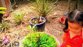 Feed the chicken and collect eggs with MiMi (3.5 year old)