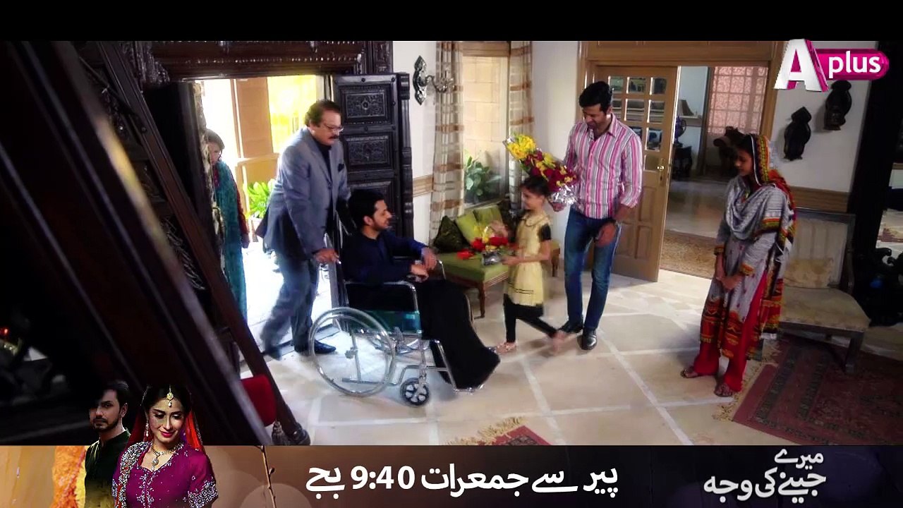 Meray Jeenay Ki  - Mon-Thu at 9:40pm on APlus