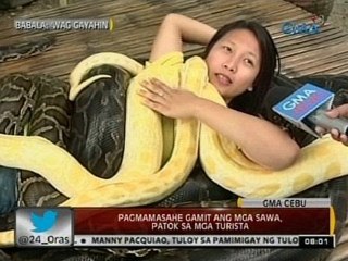 24 Oras: Pagmamasahe gamit ang mga sawa, patok sa mga turista sa Cebu City