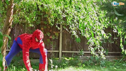 ELSA PLAYING HIDE and SEEK w/ Spiderman vs Ironamn - Fun Movie in Real Life. Ep. 122
