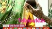 Pardes Mein Hai Mera Dil IBN 7 Bhabhi Tera devar dewaana 16th January 2017