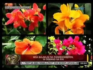 24 Oras: Mga dekorasyong pamasko, ibinida sa iba't ibang lugar