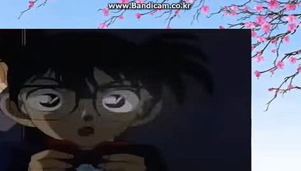 #토토솔루션,토토솔루션개발,시카고홀짝,가상축구,사다리,알라딘,사다리벨런스【카톡haricuty 스카이프cuty hary】