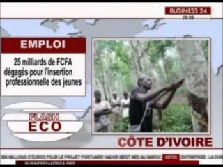 Business 24 / Flash Eco  Edition du Mardi 09 Juin 2015