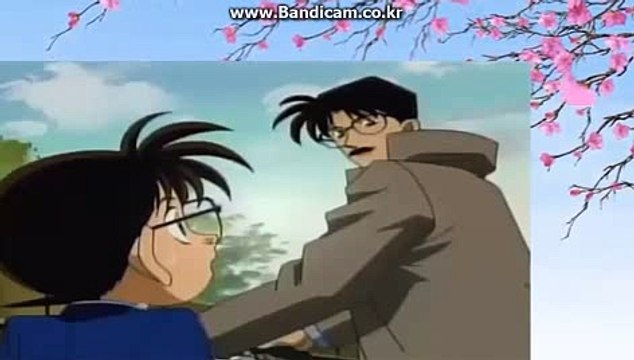 CODSOFT 카지노 제작 솔루션 / 카지노 영상 공급