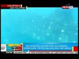 BP: Butanding adventure sa Donsol, Sorsogon, patok na holiday getaway