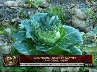 24 Oras: Presyo ng gulay, tumaas dahil sa pagyeyelo ng mga taniman sa Benguet