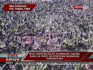 SONA: Mga tanim na gulay sa Benguet, nasira dahil sa frost na epekto ng mababang temperatura