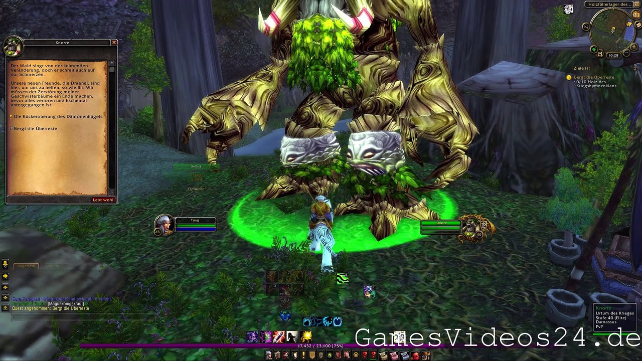 World of Warcraft Quest: Bergt die Überreste
