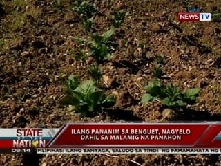 SONA: Ilang pananim sa Benguet, nagyelo dahil sa malamig na panahon