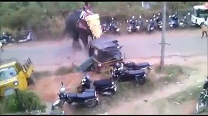 Funny video Angry Elephant Destroy parking lot
